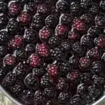 Blackberry Upside Down Cake (with Cinnamon & Vanilla) - featured image